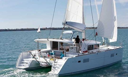 Private Day Trips in a Catamaran - Algarve, Portugal