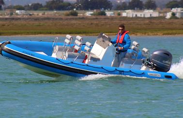 Private Speed Boat Tour at the Ria Formosa Natural Park