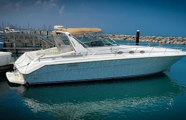 See the Chicago’s Stunning Lakefront Aboard 46ft Sea Ray Sundancer Motor Yacht 