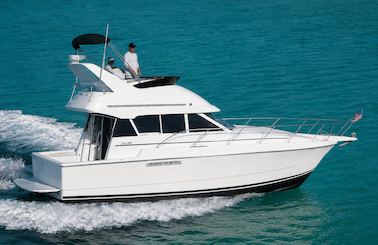 36' Flybridge Yacht in Downtown Toronto