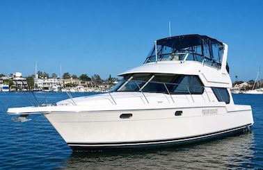Lux 44' Flybridge Yacht In Downtown Toronto