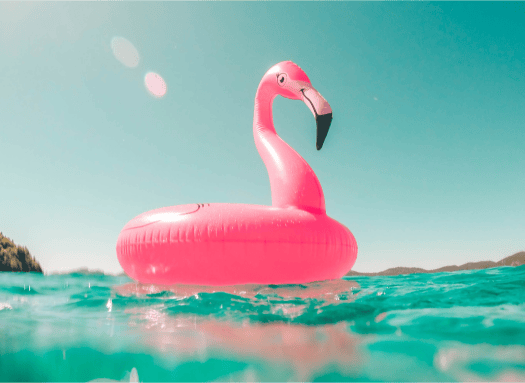 /boat-rental/Key-Largo--FL--United-States/