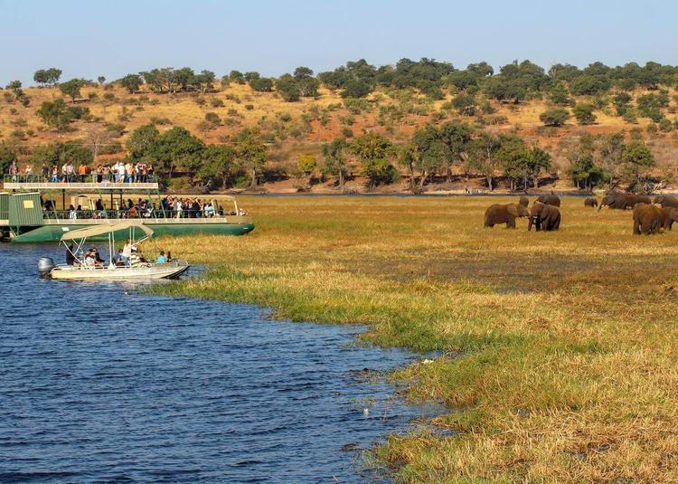 A safari boating tour in Africa, with a full boat of tourists looking at a herd of elephants from the shore.